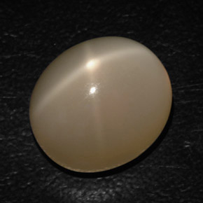 16.54カラットの天然クリームスタームーンストーン（15.4×13.5 mm・透明）