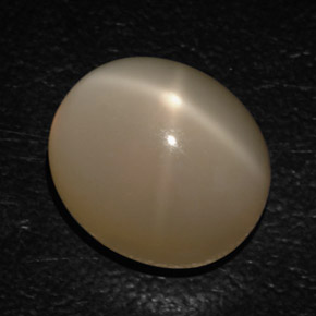 16.54カラットの天然クリームスタームーンストーン（15.4×13.5 mm・透明）