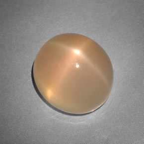7.48カラットの天然ピーチオレンジスタームーンストーン（11.8×10.7 mm・透明）