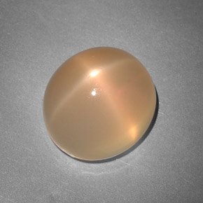 7.48カラットの天然ピーチオレンジスタームーンストーン（11.8×10.7 mm・透明）