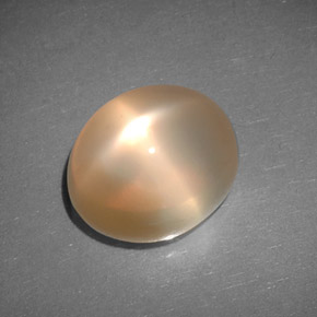 6.83カラットの天然ピーチオレンジスタームーンストーン（12.4×10.3 mm・透明）