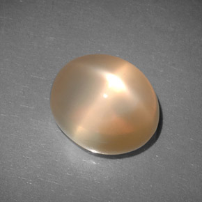 6.83カラットの天然ピーチオレンジスタームーンストーン（12.4×10.3 mm・透明）