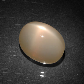 9.06カラットの天然ピーチオレンジスタームーンストーン（12.6×9.1 mm・透明）