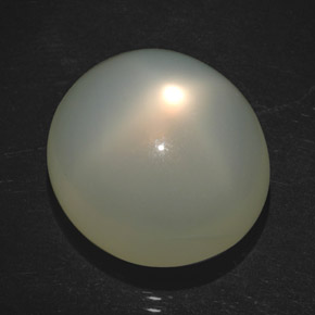 18.20カラットの天然クリームスタームーンストーン（17.1×15.9 mm・透明）