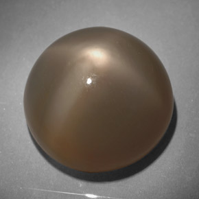 18.64カラットの天然スモークスタームーンストーン（15.75 mm・ラウンドカット）