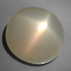 21.67カラットの天然クリームスタームーンストーン（15.2×13.7 mm・透明）