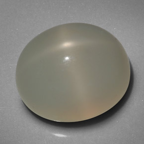 19.29カラットの天然クリームスタームーンストーン（16.6×14.2 mm・透明）