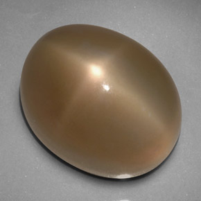 33.24カラットの天然スモークスタームーンストーン（19.4×15.1 mm・透明）