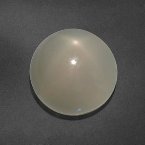 15.64カラットの天然ミルキーホワイトスタームーンストーン（14.28 mm・透明）