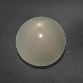 15.64カラットの天然ミルキーホワイトスタームーンストーン（14.28 mm・透明）