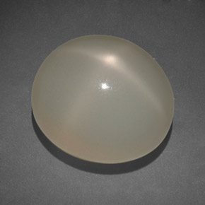 14.00カラットの天然クリームスタームーンストーン（14.5×12.5 mm・透明）