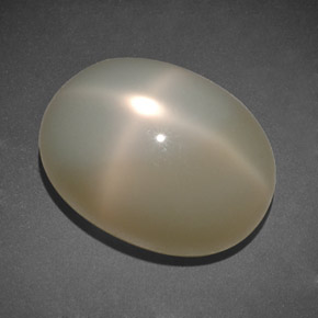 13.07カラットの天然ミルキーホワイトスタームーンストーン、透明、透明/半透明