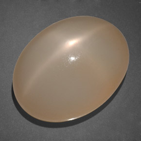 19.69カラットの天然クリームピーチスタームーンストーン（18.4×14 mm・透明）