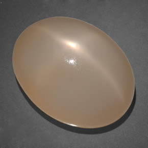 19.69カラットの天然クリームピーチスタームーンストーン（18.4×14 mm・透明）