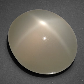 20.40カラットの天然クリームスタームーンストーン（16.7×14.2 mm・透明）