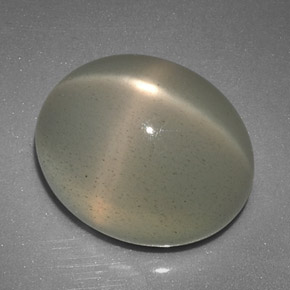 12.51カラットの天然クリームスタームーンストーン（15×12.3 mm・透明）
