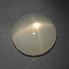 16.68カラットの天然クリームスタームーンストーン（17.13 mm・ラウンドカット）