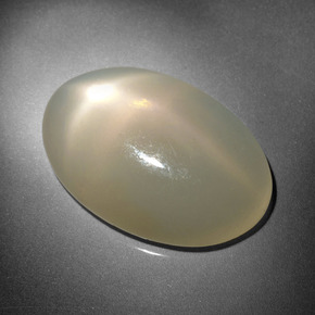 16.18カラットの天然クリームスタームーンストーン（22.1×14.8 mm・オーバルカット）