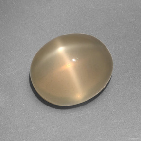 5.25カラットの天然クリーム色スタームーンストーン、オーバルカット、半透明