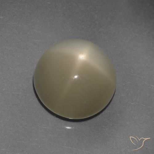 9.72ct 天然 薄いコーヒーブラウン スタームーンストーン, ラウンド, 半透明