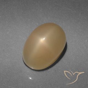 5.21カラットの天然ゴールドスタームーンストーン、オーバルカット、半透明