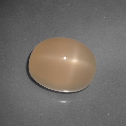 6.21カラットの天然ミディアムオレンジスタームーンストーン、オーバルカット、半透明