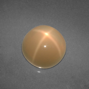 4.57カラットの天然クリームスタームーンストーン（9.77 mm・ラウンドカット）