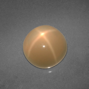 4.57カラットの天然クリームスタームーンストーン（9.77 mm・ラウンドカット）