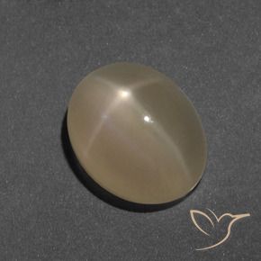5.19カラットの天然茶色がかったオレンジスタームーンストーン、楕円形、半透明