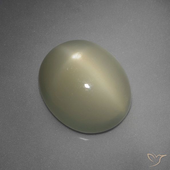 5.67ct 天然 ミディアムイエローグレー スタームーンストーン, 楕円形, 半透明