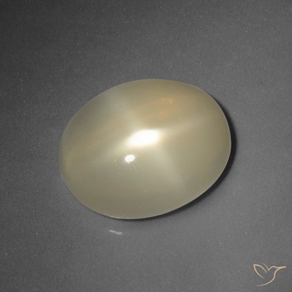 5.66ct 天然 ライトイエロー スタームーンストーン, 楕円形, 半透明