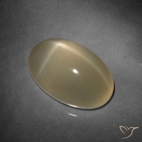 9.25ct 天然 薄いトルティーヤブラウン スタームーンストーン, 楕円形, 半透明