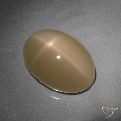 9.26ct 天然 カンタロープオレンジ スタームーンストーン, 楕円形, 半透明