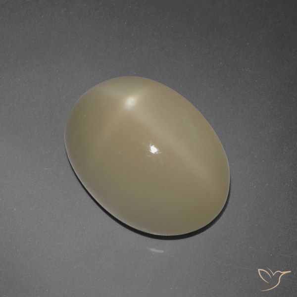 7.30ct 天然 ライトブラウン スタームーンストーン, 楕円形, 半透明