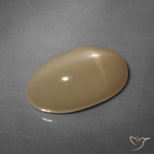 11.04ct 天然 カンタロープオレンジ スタームーンストーン, 楕円形, 半透明