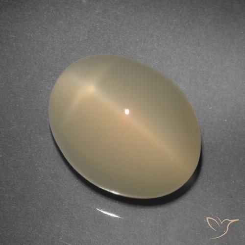 11.92ct 天然 薄いブラウン スタームーンストーン, 楕円形, 半透明