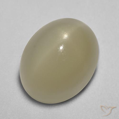 7.26ct 天然 薄いコーヒーブラウン スタームーンストーン, 楕円形, 半透明