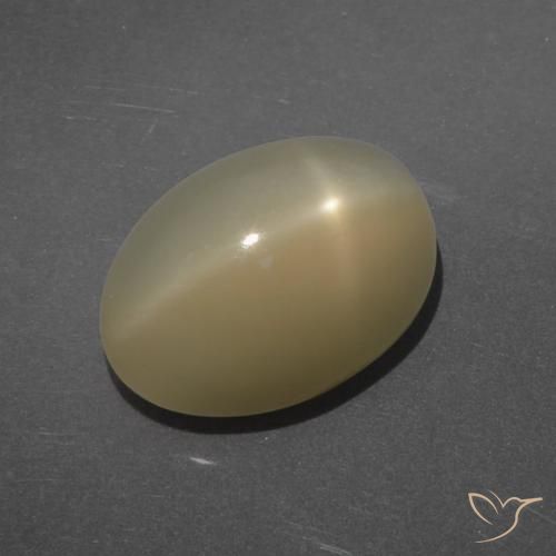 7.14ct 天然 ライトブラウン スタームーンストーン, 楕円形, 半透明