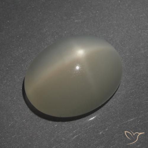 7.62ct 天然 薄いコーヒーブラウン スタームーンストーン, 楕円形, 半透明