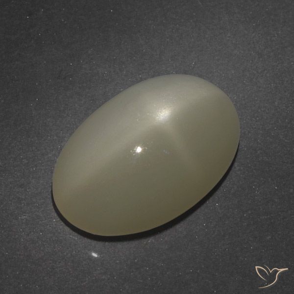 7.66ct 天然 薄いコーヒーブラウン スタームーンストーン, 楕円形, 半透明