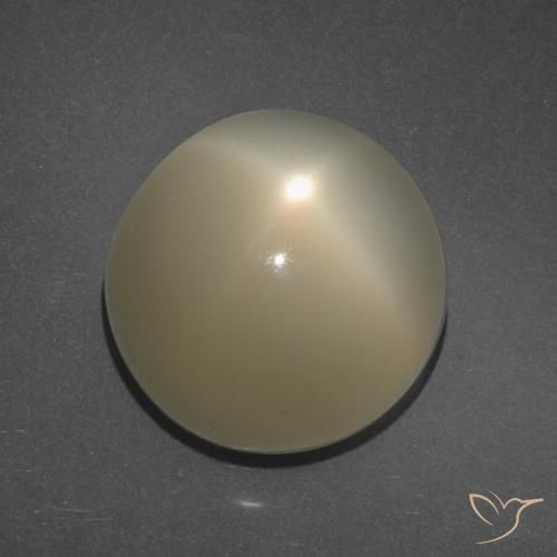11.34ct 天然 薄いコーヒーブラウン スタームーンストーン, ラウンド, 半透明