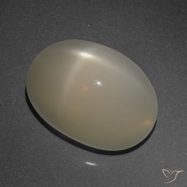 8.95ct 天然 薄いコーヒーブラウン スタームーンストーン, 楕円形, 半透明