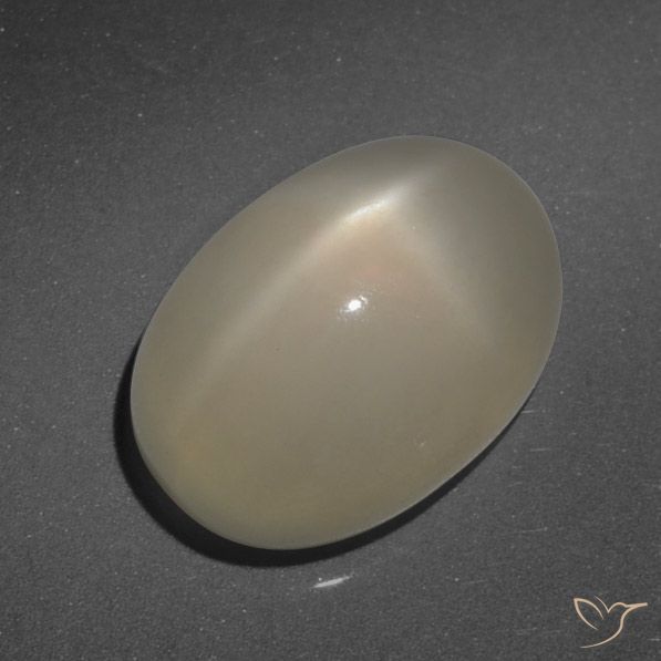 7.90ct 天然 薄いコーヒーブラウン スタームーンストーン, 楕円形, 半透明
