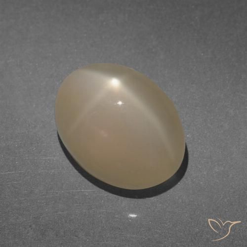 8.47ct 天然 ウォーム薄いブラウン スタームーンストーン, 楕円形, 半透明
