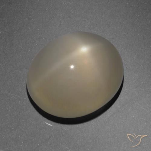 6.13ct 天然 ライトブラウン スタームーンストーン, 楕円形, 半透明