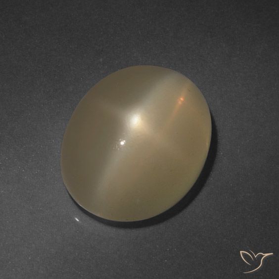 6.37ct 天然 ライトブラウン スタームーンストーン, 楕円形, 半透明