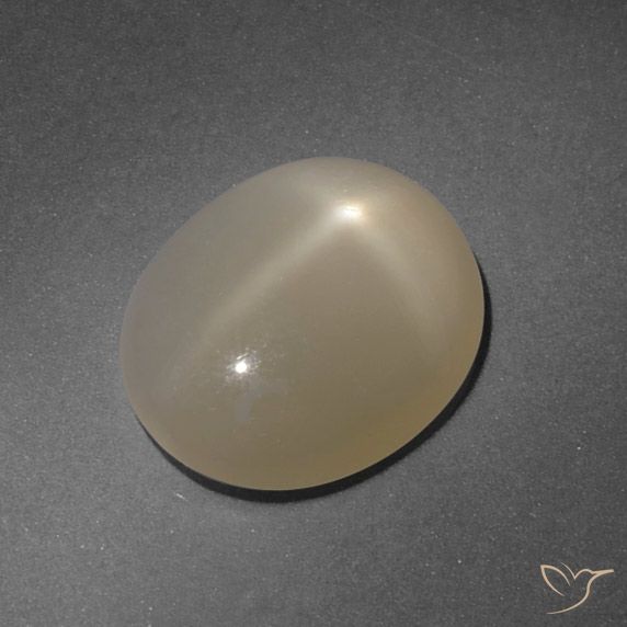 4.99ct 天然 薄いブラウン スタームーンストーン, 楕円形, 半透明