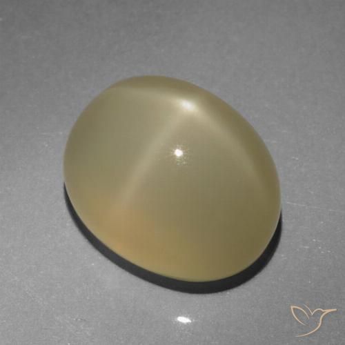 6.64ct 天然 非常に薄い茶色 スタームーンストーン, 楕円形, 半透明
