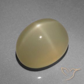 6.64カラットの天然非常に薄い茶色スタームーンストーン、楕円形、半透明