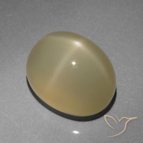 6.64カラットの天然非常に薄い茶色スタームーンストーン、楕円形、半透明